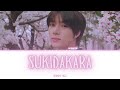 BEOMGYU 범규 Sukidakara Color Coded Lyrics Kan Rom Eng 
