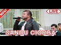 Sandu Ciorba - Mamaliga cu malai - Live