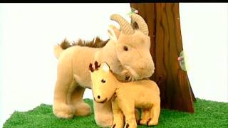 Something Special - Mr Tumble - Full Episodes - Baby Animals