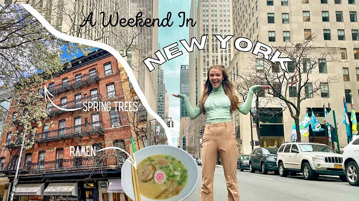 My First Time In NEW YORK | Travel Vlog