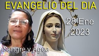 Evangelio Del Dia Hoy - Sabado 28 Enero 2023- Sangre y Agua