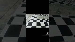 proton X70 360 camera view mat