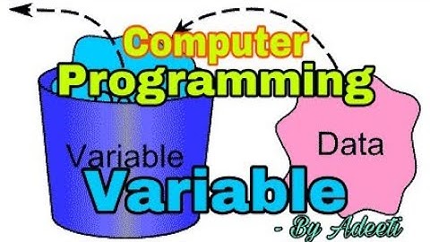 Constants and Variables - Programming fundamentals.