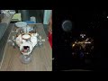 Middle of video