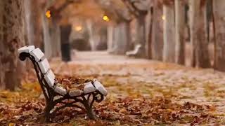 Y2Mate Com Bu Havada Gidilmez Aslnda Hi Gidilmez P0N Lmpifxw 360P Resimi