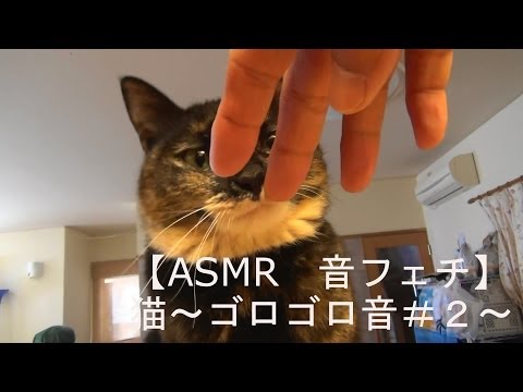 【ASMR 音フェチ】～ ～?猫ｺﾞﾛｺﾞﾛ音#2?～ ～ Binaural 3D 立体音響