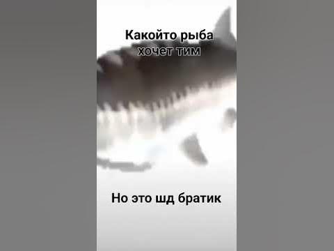 какойто - YouTube