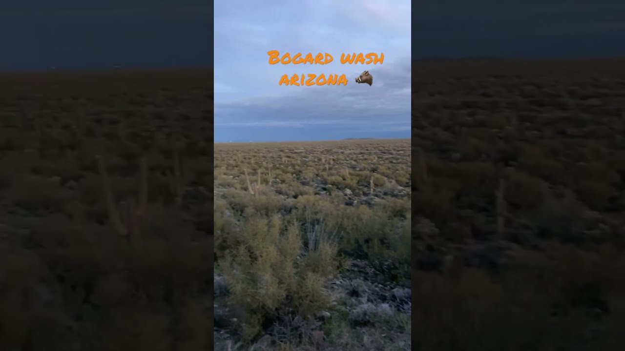 Bogard Wash Arizona 37a
