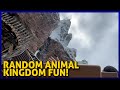 A Random Day at Animal Kingdom with Goats and Yetis