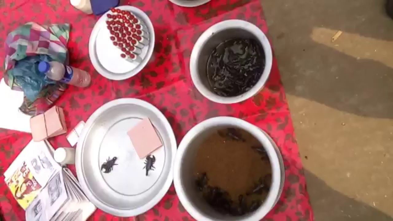 Scorpion-King in the street of Dhaka, Bangladesh