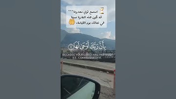 سورة الزلزلة | تلاوة قصيرة تهز القلوب 🤲