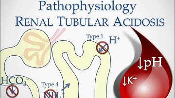Renal Tubular Acidosis - USMLE STep 2 Review
