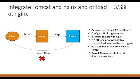 How to Integrate Tomcat and nginx and offload TLS/SSL at nginx?