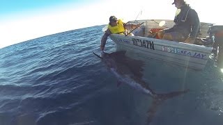 Catching a Sailfish at Ningaloo in a tinny