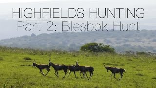 Highfields Hunting, Day 2: Blesbok Hunt with the .260's