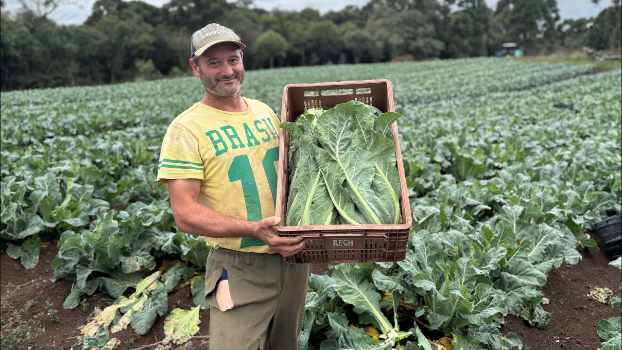 SÍTIO SUPER PRODUTIVO DO LUCIANO ANTÔNIO DE MONTE ALEGRE DOS CAMPOS