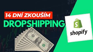 14 dní jsem zkoušel Dropshipping a tolik jsem vydělal! Updated 2023