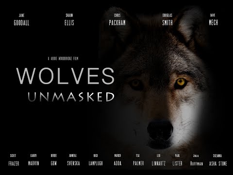 Video: Wolves Of The Wild Field - Visualizzazione Alternativa