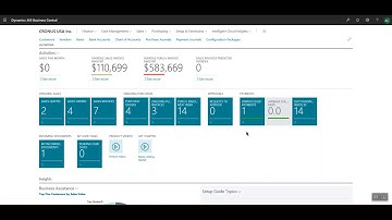 Business Central Cue