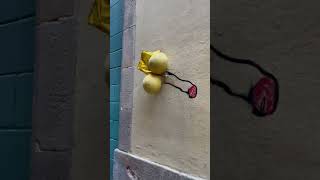 Dos melones y un rabo. es – arte urbano, Francisco de Pájaro, graffiti video – Barcelona street art video