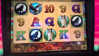 Cash Fever. Wolf   Slots screenshot 5