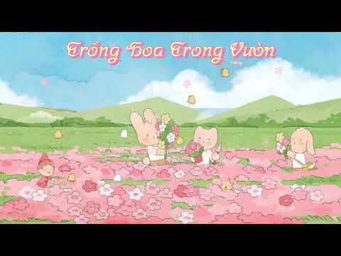 Video: Trồng hoa trong vườn