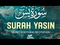 سورة يس القارئ أحمد عبدالحميد طاحون     