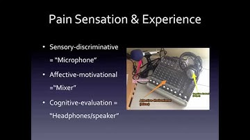 Understanding Pain Part One: What Is 