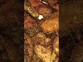 #kabab ||#street style kabab||#chicken kabab||#shami kabab
