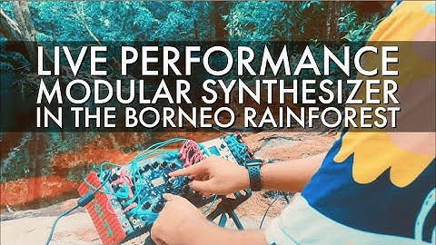 Frap Tools Usta, Rossum Assimil8or, Instruo & Divkid ØCHD | Eurorack Modular Synthesizer