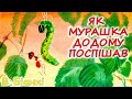 АУДІОКАЗКА НА НІЧ - "ЯК МУРАШКА ДОДОМУ ПОСПІШАВ" | Аудіокниги для дітей українською мовою | Слухати