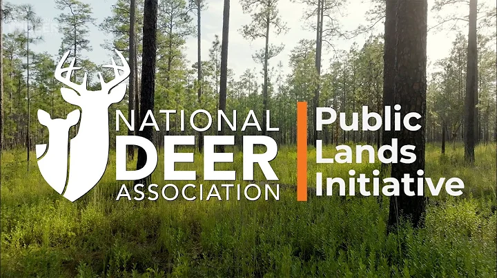 NDA Works to Improve Public Land for Deer Hunting and Conservation