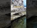 Seals are some of the most gentle and intelligent marine animals in our oceans