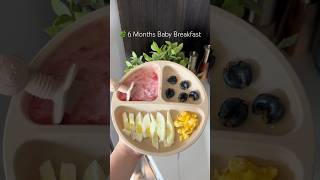 6 Months Baby Food Ideas | Easy BLW Breakfast