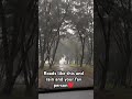Manglore #road #rain #honey #peace #manglore #manglorevlogs #manglorespecial