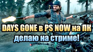 DAYS GONE в PS NOW на ПК бесплатно пробую сделать на стриме!