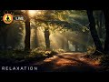 🔴 Relaxing Zen Music 24/7, Stress Relief Music, Sleep Music, Meditation Music, Study, Calming Music