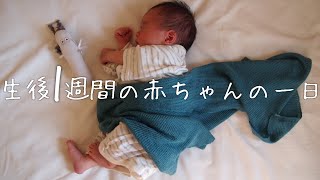 生後1週間の赤ちゃんの一日【新生児】【A day in the life of a Japanese newborn baby】