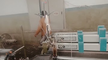 sulzer p7100, putw12 Saeed Elahi textile small state