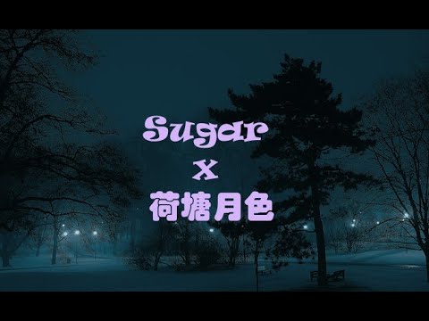 Sugar x 荷塘月色 (抖音版）—【动态歌词】 - YouTube