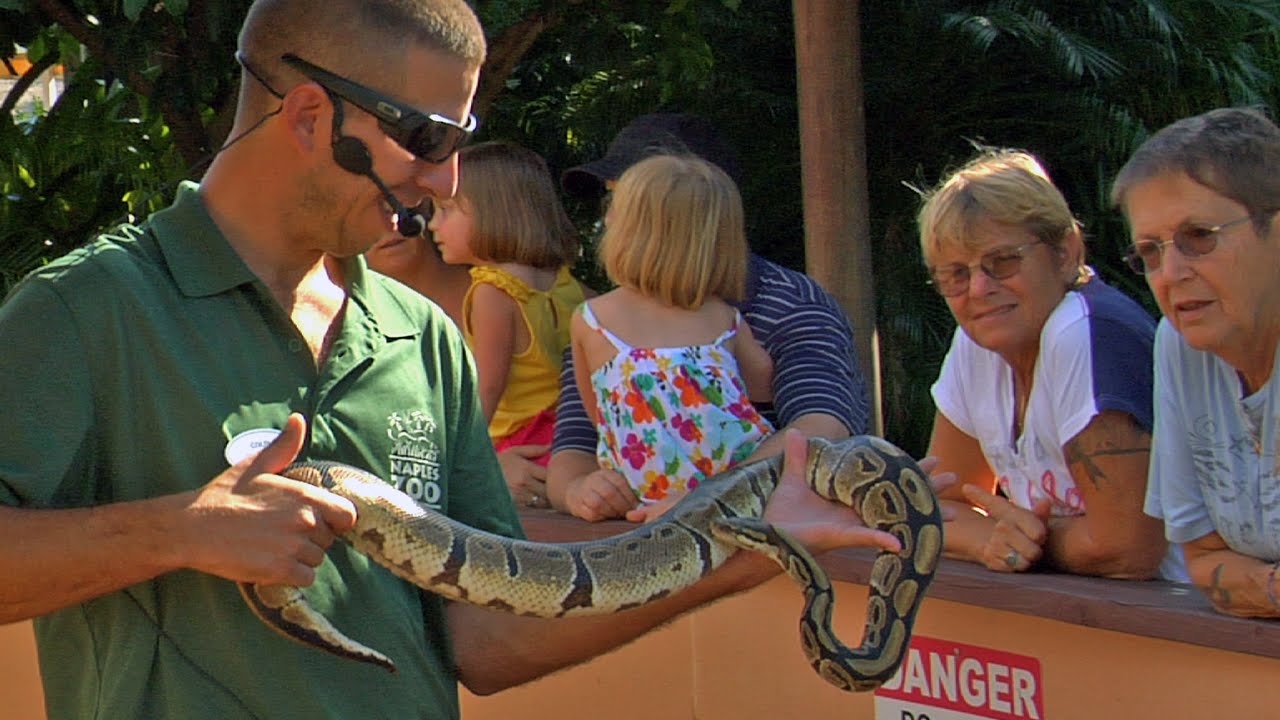 Jungle Larry & Safari Jane's Snakes Alive! Presentation at Naples Zoo