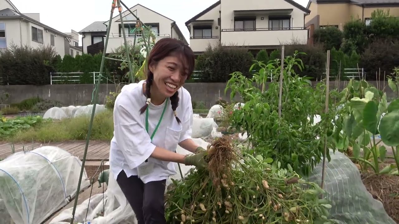 菜園だより240929アグリス成城