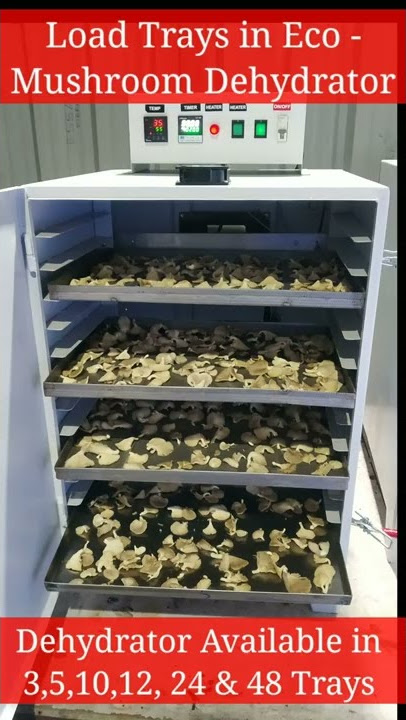 How To Dry Mushrooms Using A Food Dehydrator 