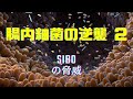 腸内細菌の逆襲 ②（SIBOの脅威）