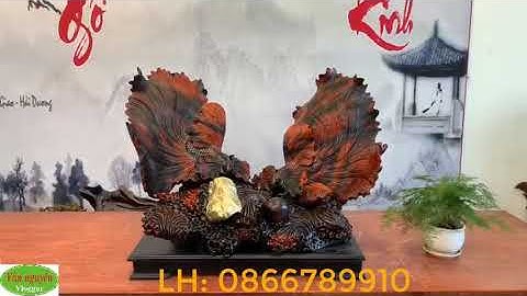 Cặp cá xiêm bằng gỗ trắc cực kỳ ấn tượng, phôi gỗ hiếm gặp đẹp tự nhiên 2 màu vân đen, đỏ đan xen