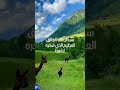 سبحان الله الخالق العظيم الذي سخره لنا هذا