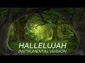 Hallelujah  - Instrumental version