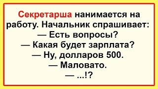 Сборник Самых Веселых Свежих и Смешных Анекдотов! Секретарша устраивается на Работу ...!