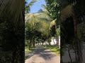 Очень долгое заселение на виллы. Nha Trang Marriott Resort &amp; Spa, Hon Tre Island.