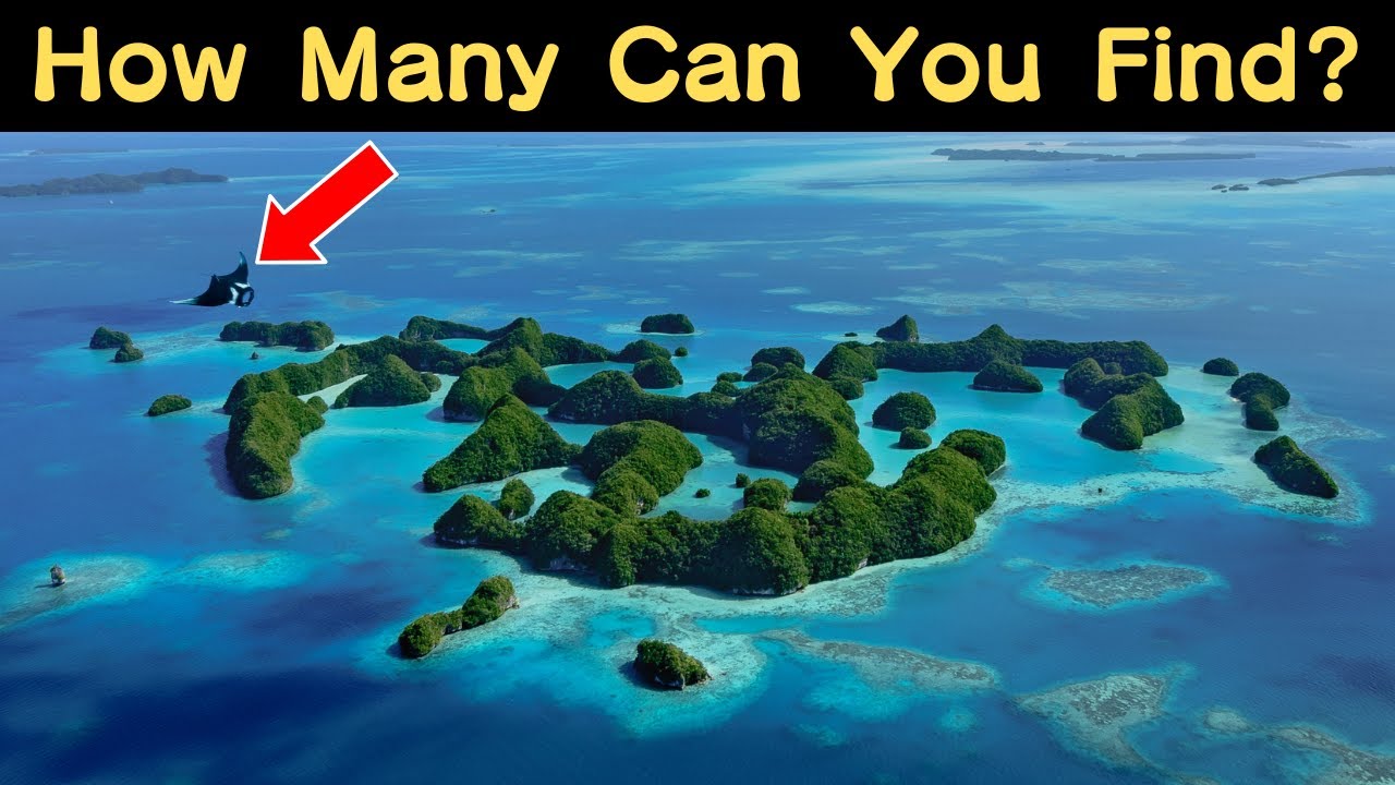 Only a Few Can Spot Them! Hidden Objects & Secrets of Rock Islands Southern Lagoon!